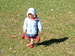 Parkban, 2004 november