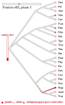 site 2 history