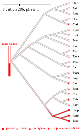 site 30 history