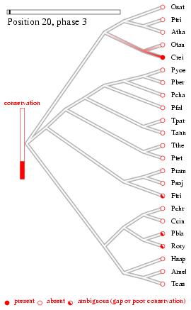 site 4 history