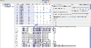 Alignment panel screenshot