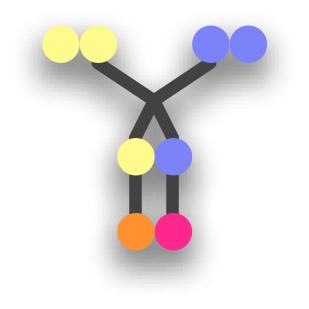 Quadgt logo