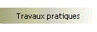 Travaux pratiques