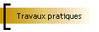 Travaux pratiques