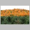 MontShefford_3.jpg