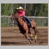 Chevaux_4.jpg