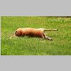 BareHill_4.jpg