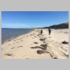 Sandy_6.jpg