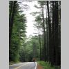 EnsignPondRoad_1.jpg