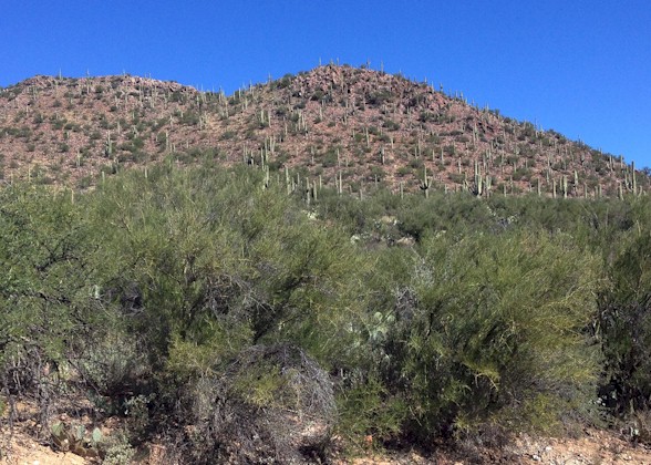 download colossal cave download colossal cave