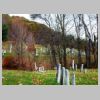 SheldonCem2.jpg