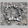 Fossile.jpg