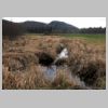 BeaverMeadow_2.jpg