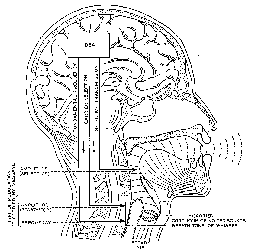 Dudley's vocal tract model