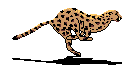 GIF_anime.gif (8116 bytes)