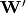 \mathbf{W'}