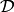 \mathcal{D}