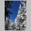 SentierMontagneNoire_1.jpg