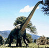 brachiosaurus